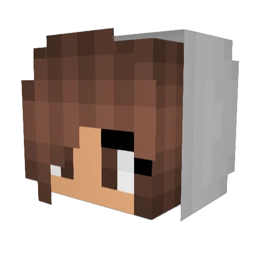 n3llie Minecraft avatar head, 3D render