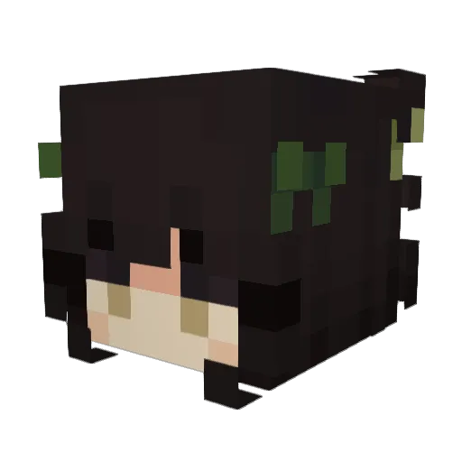 n3lqqq Minecraft avatar head, 3D render