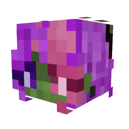 n3th3rk1tty Minecraft avatar head, 3D render