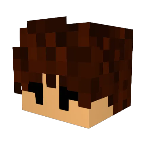 n4ckles Minecraft avatar head, 3D render