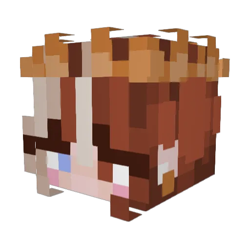 n4h1_ Minecraft avatar head, 3D render
