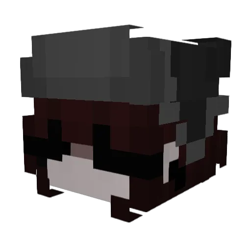 n4nami19 Minecraft avatar head, 3D render