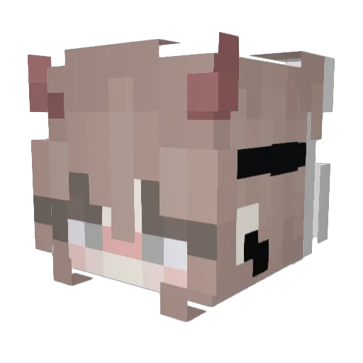 n4tcs Minecraft avatar head, 3D render