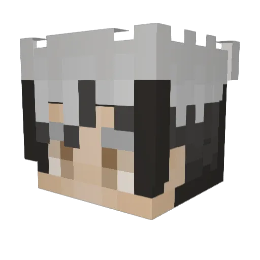 n4yf1n Minecraft avatar head, 3D render