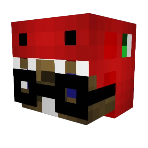 n6t Minecraft avatar head, 3D render