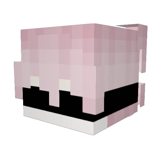 n7pb Minecraft avatar head, 3D render
