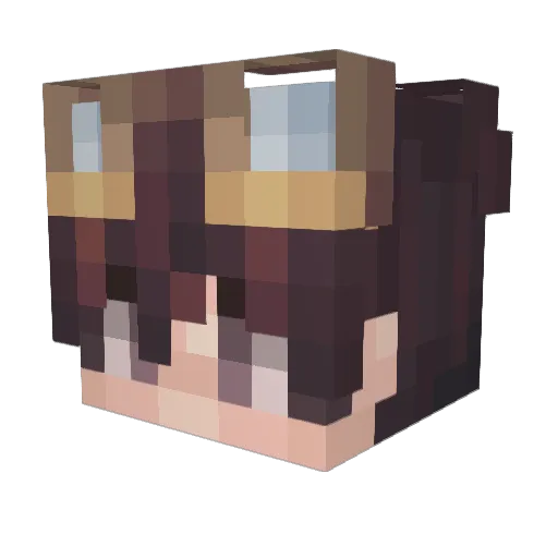 n810n Minecraft avatar head, 3D render