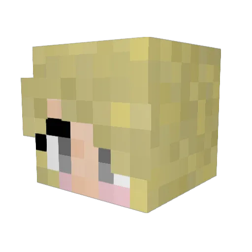 n84ever Minecraft avatar head, 3D render