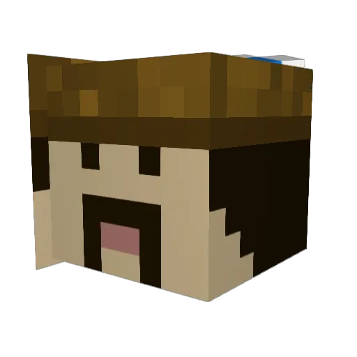 n8inch Minecraft avatar head, 3D render