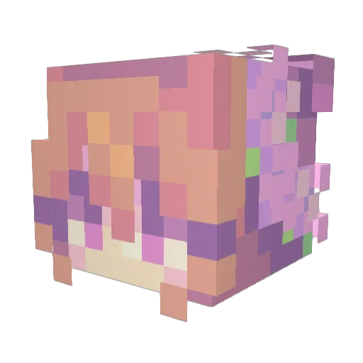 nEsther Minecraft avatar head, 3D render