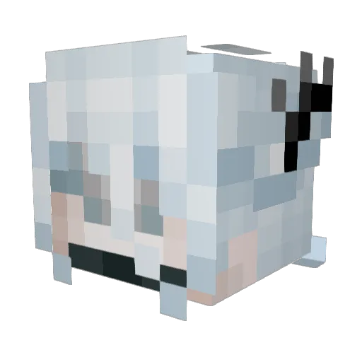 nFaus Minecraft avatar head, 3D render