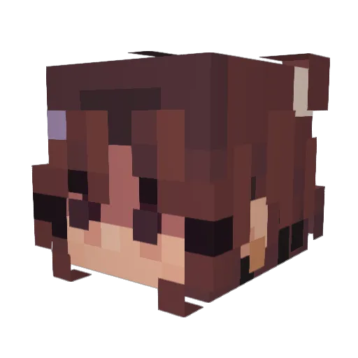 nNoraa_ Minecraft avatar head, 3D render