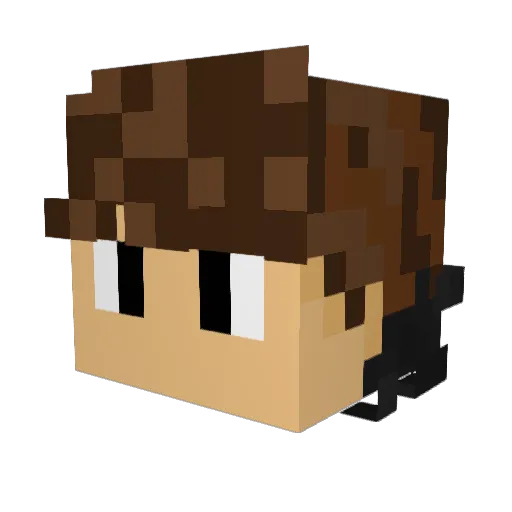 nThijs Minecraft avatar head, 3D render