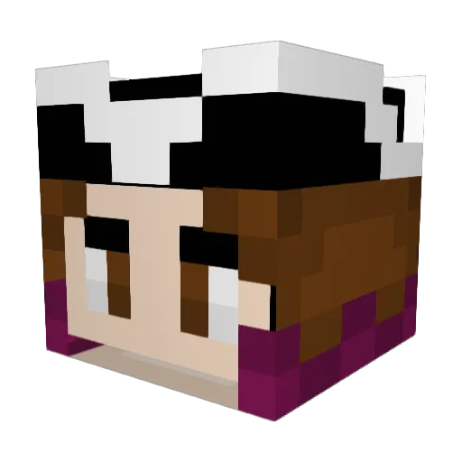 nULLaCCOUNT Minecraft avatar head, 3D render