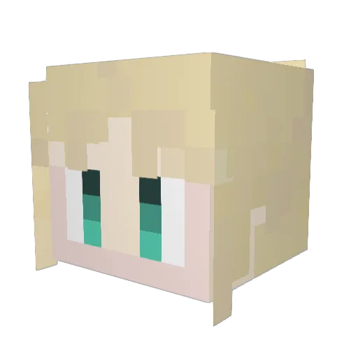 n_SAN0 Minecraft avatar head, 3D render