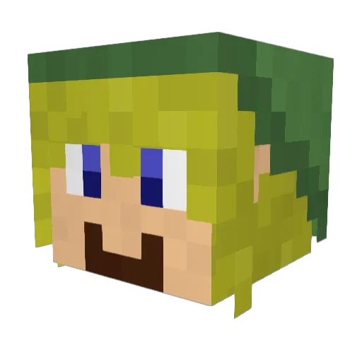n_Sage Minecraft avatar head, 3D render