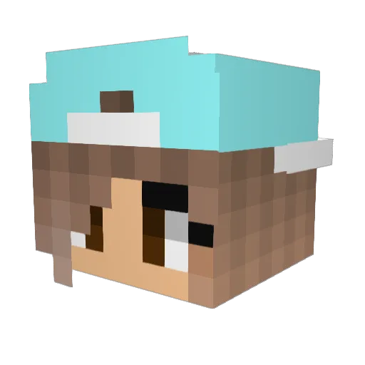 n_aty_ Minecraft avatar head, 3D render
