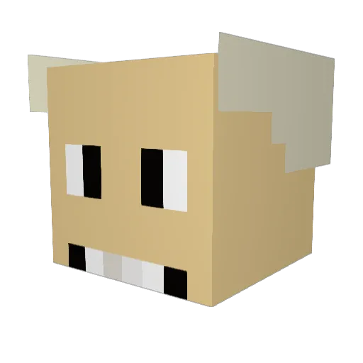 n_ict Minecraft avatar head, 3D render