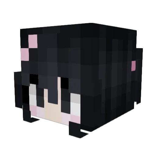n_nt Minecraft avatar head, 3D render