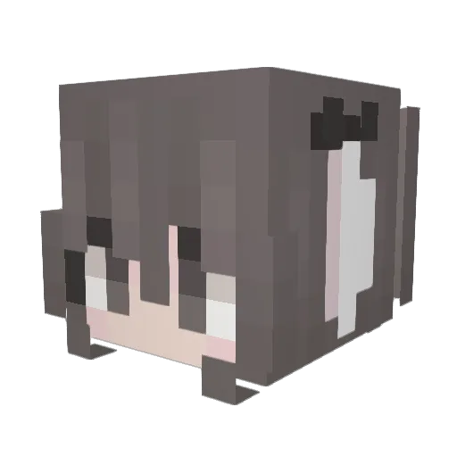 n_nw Minecraft avatar head, 3D render