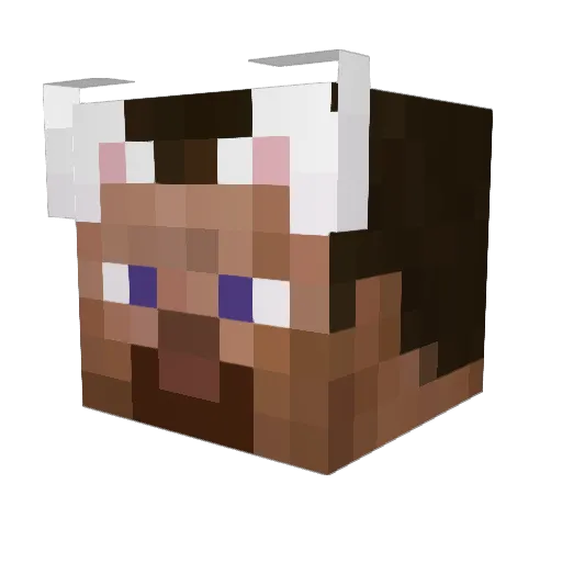 n_olan Minecraft avatar head, 3D render