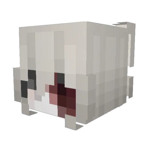 n_out Minecraft avatar head, 3D render