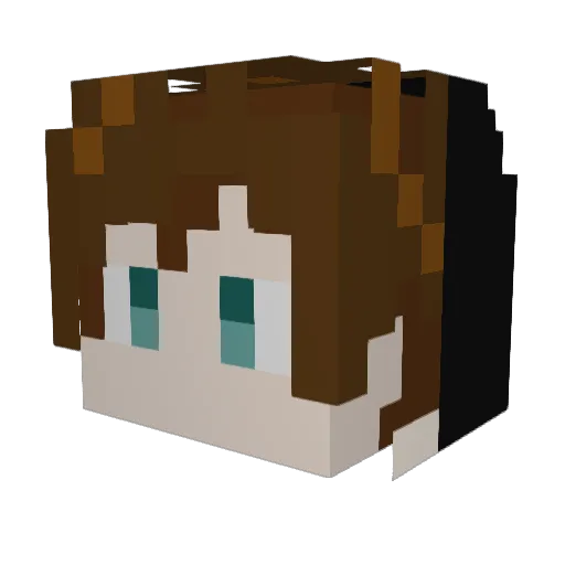 n_pikka Minecraft avatar head, 3D render