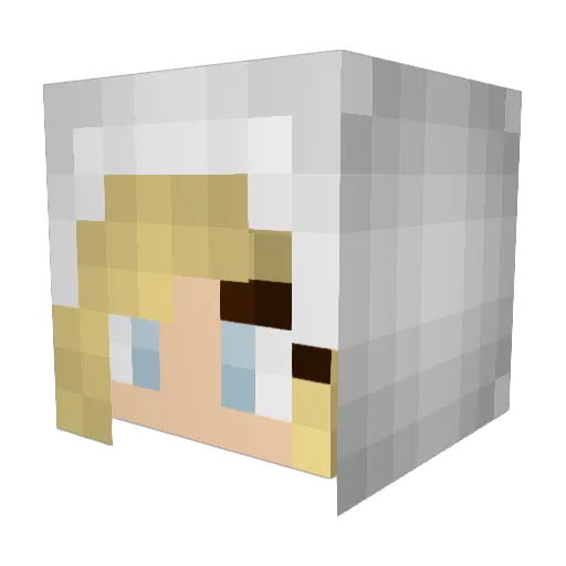 n_sp Minecraft avatar head, 3D render