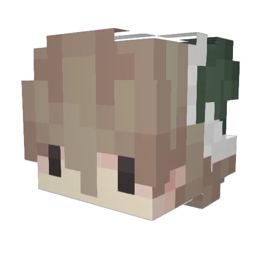 n_y_o Minecraft avatar head, 3D render