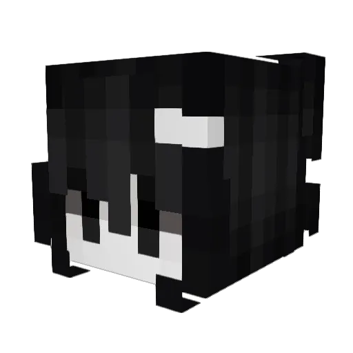 n_yooni Minecraft avatar head, 3D render