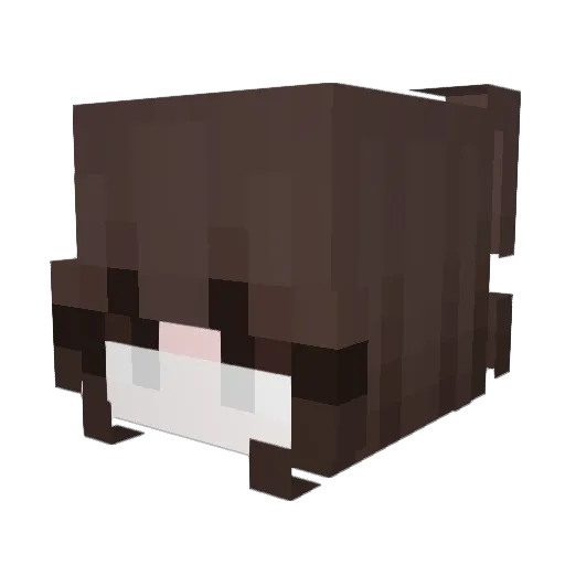 n_yxra Minecraft avatar head, 3D render
