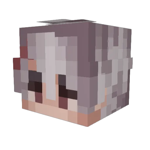 na1psac Minecraft avatar head, 3D render