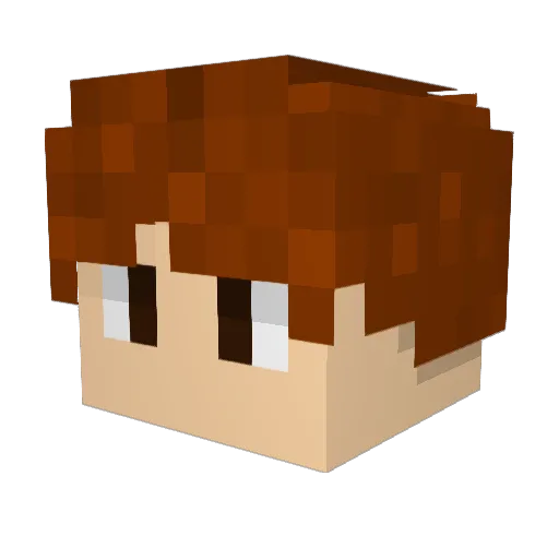 na_me_ Minecraft avatar head, 3D render