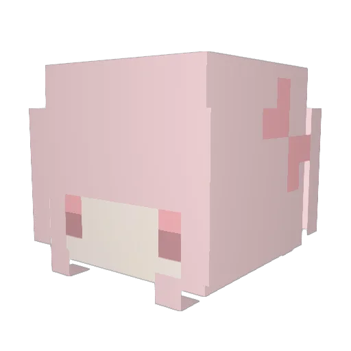 naahida Minecraft avatar head, 3D render