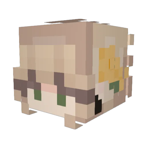 naamuuu Minecraft avatar head, 3D render