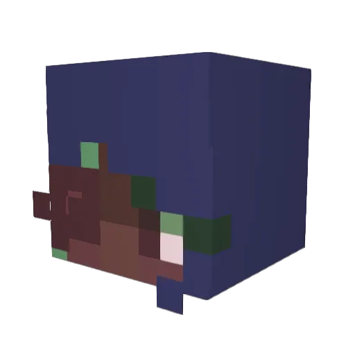 naasirgamer Minecraft avatar head, 3D render