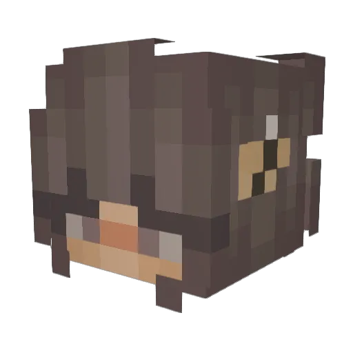 naattaalliee Minecraft avatar head, 3D render