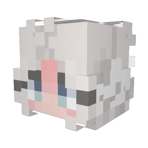 naaveen Minecraft avatar head, 3D render
