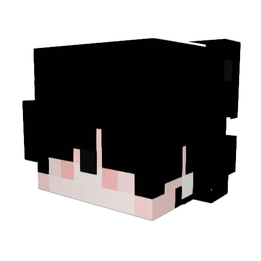 naawt Minecraft avatar head, 3D render