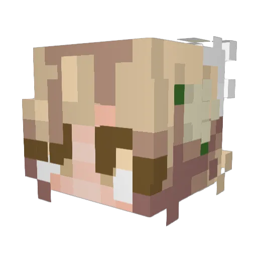 nabi_i3 Minecraft avatar head, 3D render