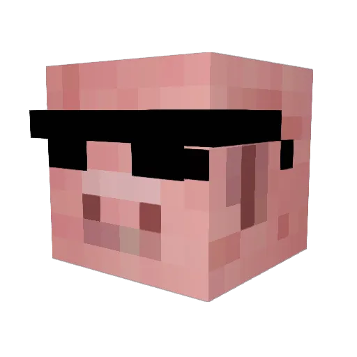 nacahuette Minecraft avatar head, 3D render