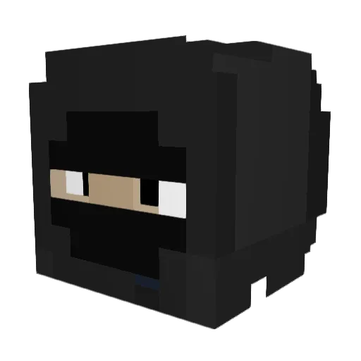 nachitopa02 Minecraft avatar head, 3D render