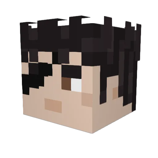 nacho_fries Minecraft avatar head, 3D render