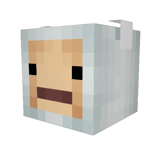 nacho_k Minecraft avatar head, 3D render