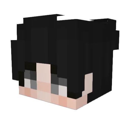 nacho_lol Minecraft avatar head, 3D render