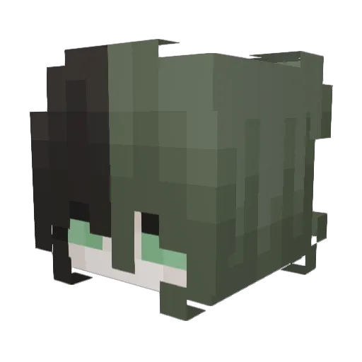 nachokid33 Minecraft avatar head, 3D render
