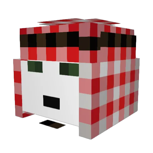 nachonyaruru Minecraft avatar head, 3D render