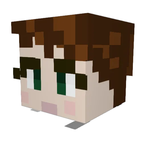 nachostarz Minecraft avatar head, 3D render
