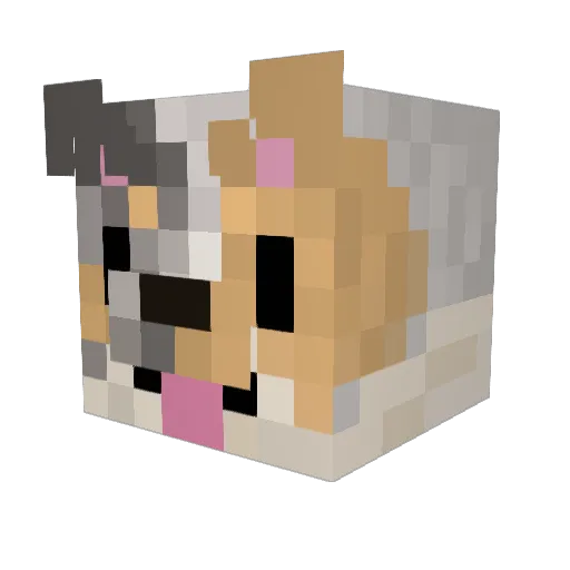 nachoszn_ Minecraft avatar head, 3D render