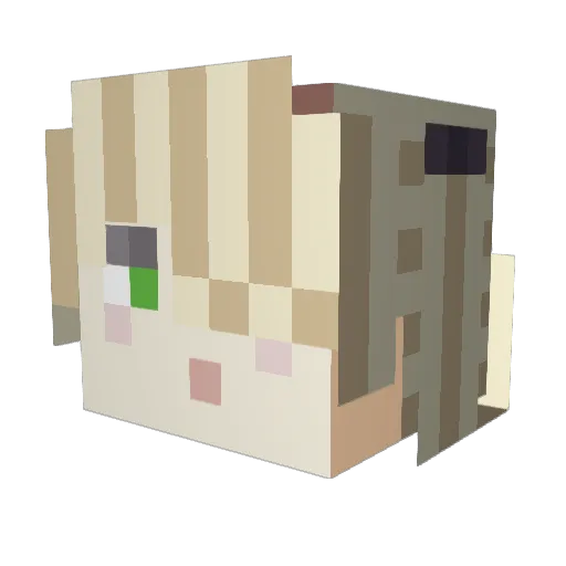 nachu_3 Minecraft avatar head, 3D render
